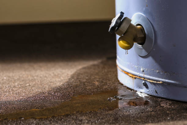 Best Flooded house restoration  in St Simons, GA
