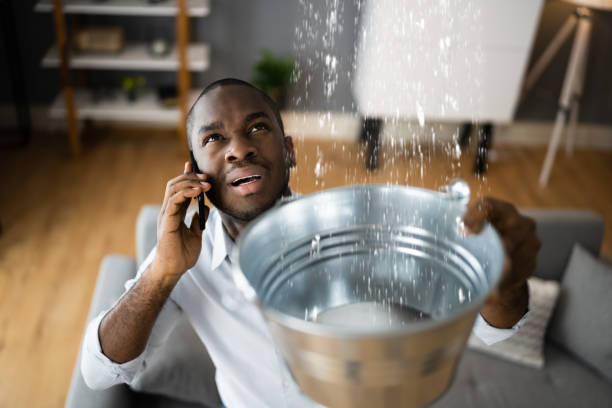 Best Flood restoration services  in St Simons, GA