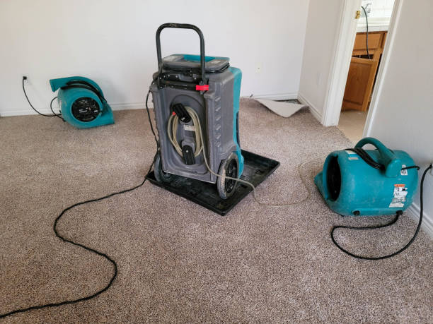 Best Residential water damage restoration  in St Simons, GA