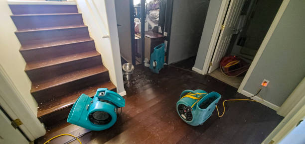 Local water damage restoration in GA