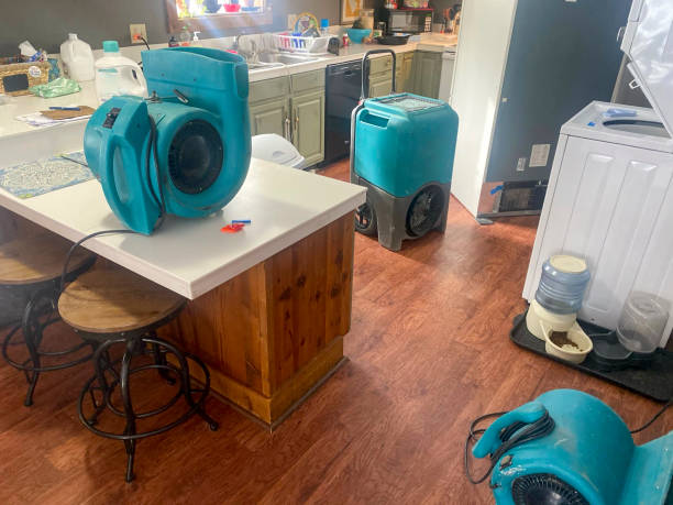 Best 24-hour water damage restoration  in St Simons, GA