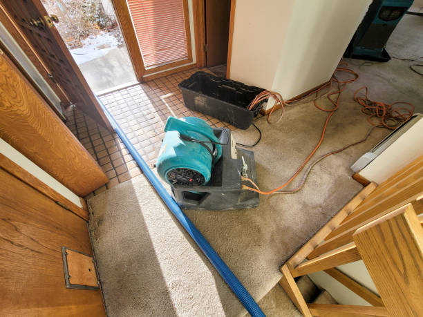 Best Ceiling water damage repair  in St Simons, GA