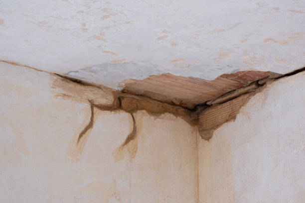 Best Water damage contractors near me  in St Simons, GA