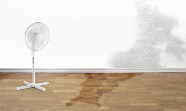 Best Water damage restoration insurance claims  in St Simons, GA
