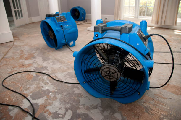 Best Water damage contractors near me  in St Simons, GA
