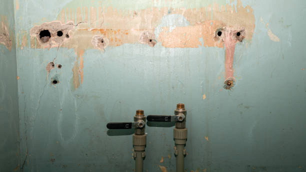 Best Commercial water damage restoration  in St Simons, GA