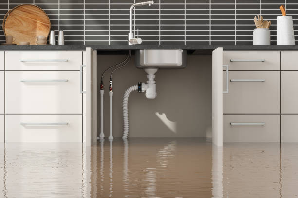 Best Fire Damage Restoration  in St Simons, GA