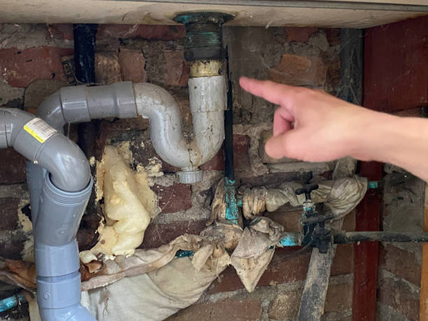 Best Local water damage restoration  in St Simons, GA