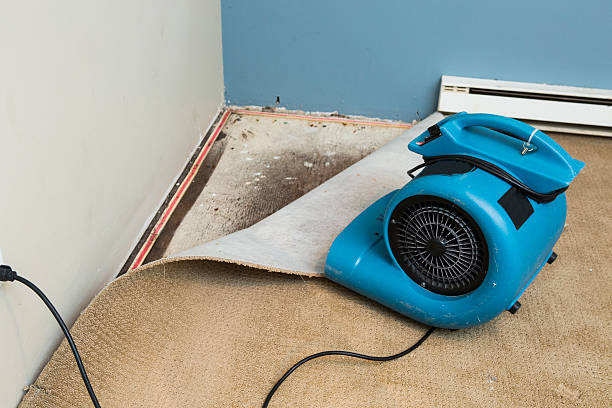 Best Water damage cleanup near me  in St Simons, GA